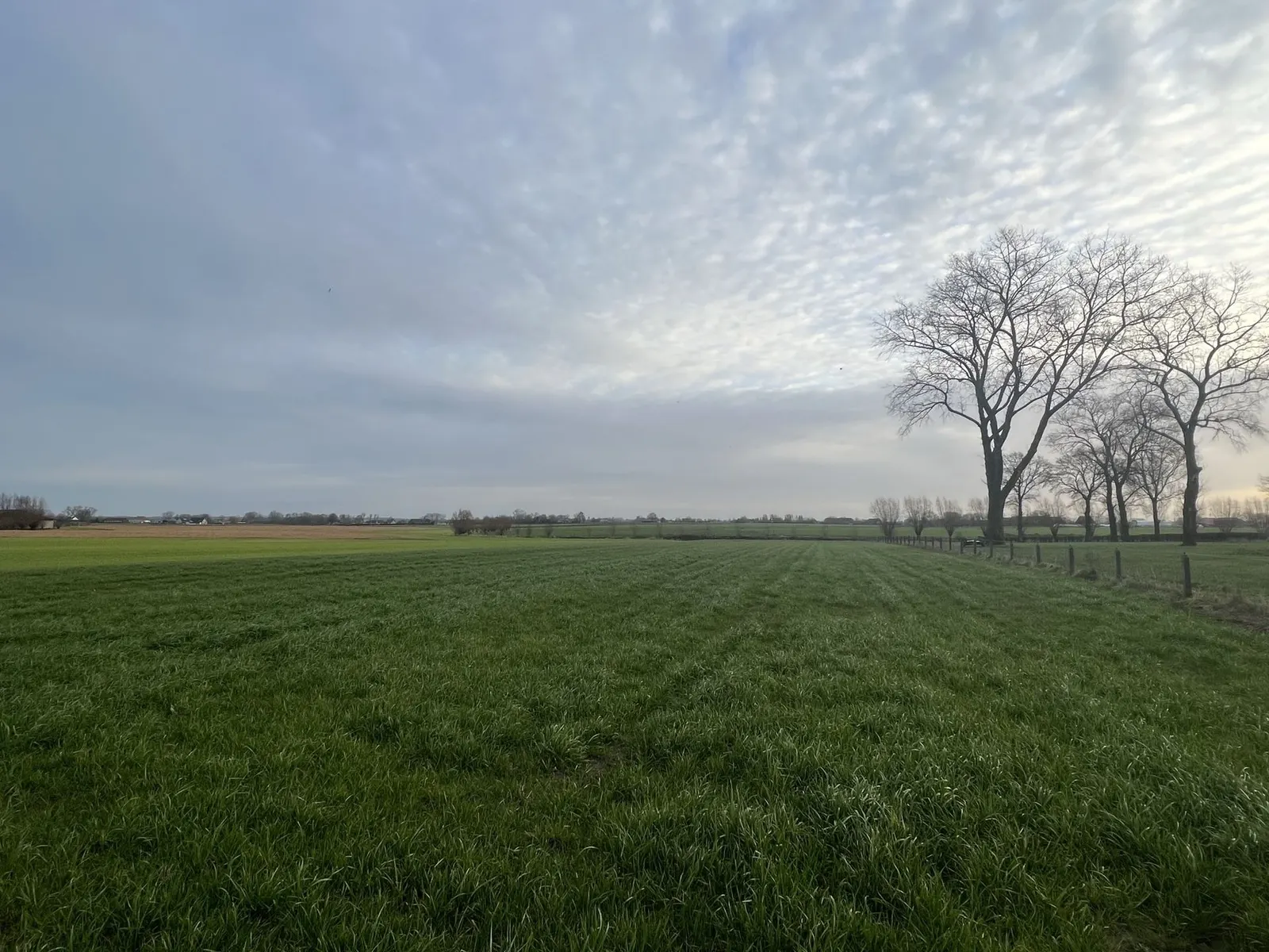 Bouwgrond voor een HomeQue: waarop moet je letten?