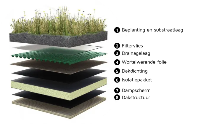 HomeQue — project en bouwproces