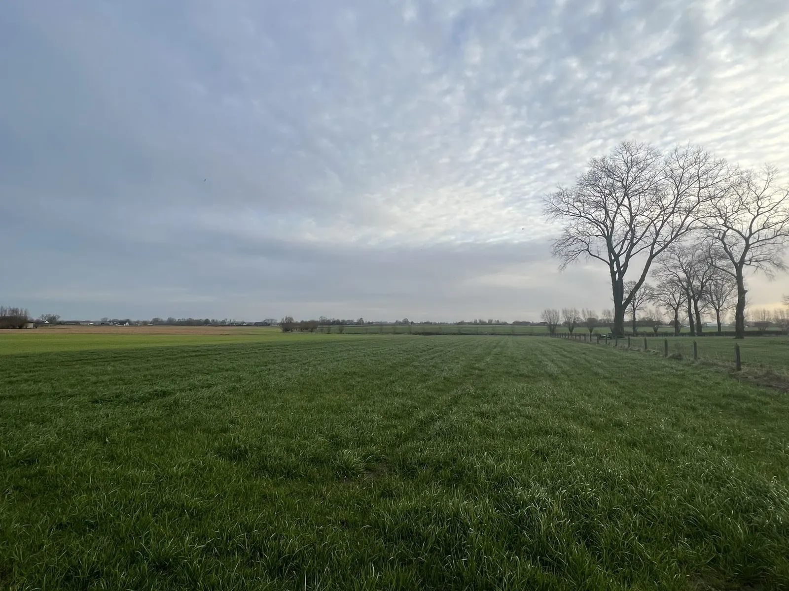 Bouwgrond HomeQube
